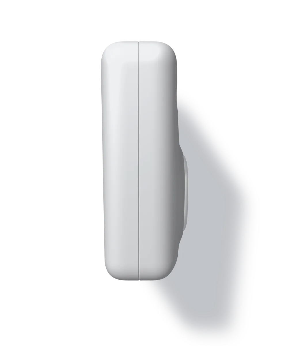 Turned a quarter, the flank toward the viewer